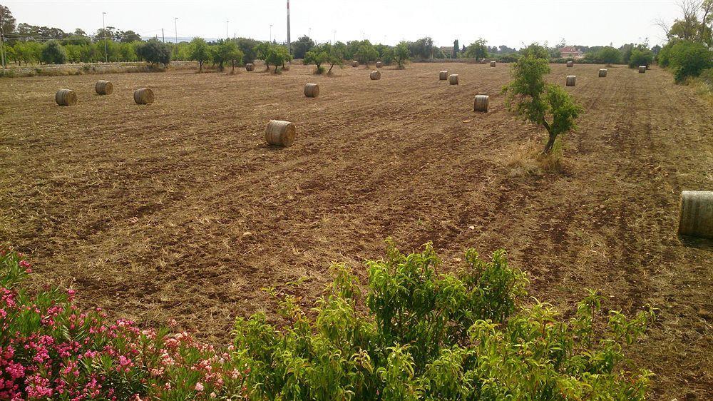 Il Mirto E La Rosa Bed & Breakfast Agrigento Dış mekan fotoğraf